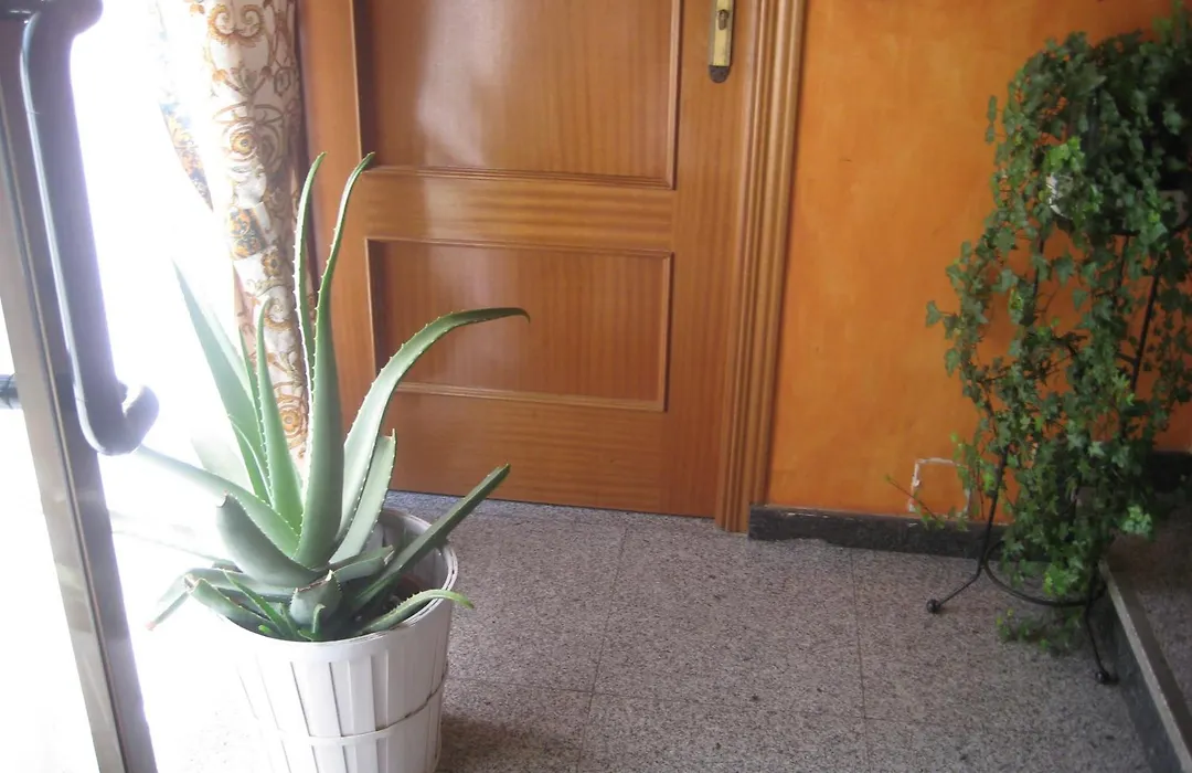 Hostal El Pinar-1