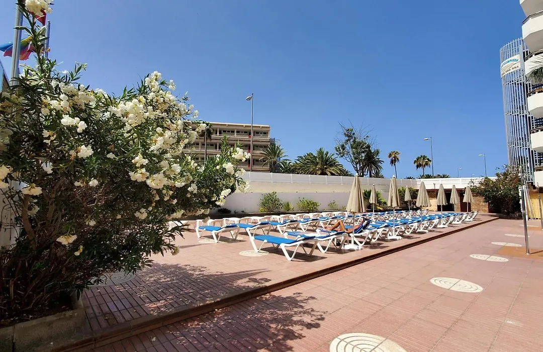 Las Camelias Apartments-1