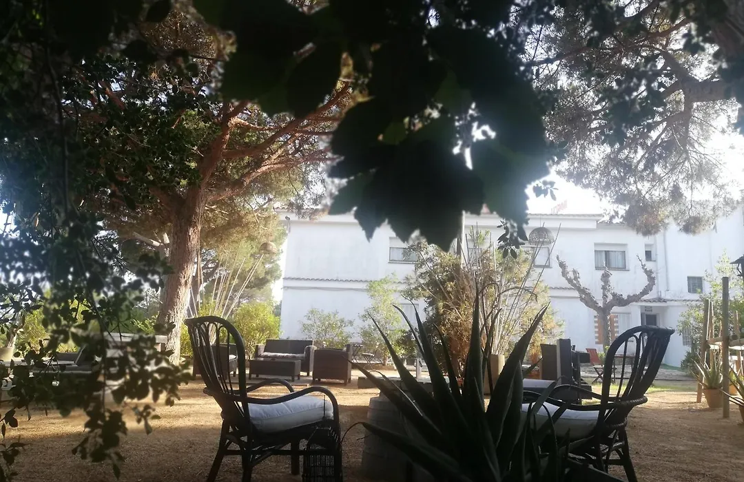 Hostal Los Pinares-1