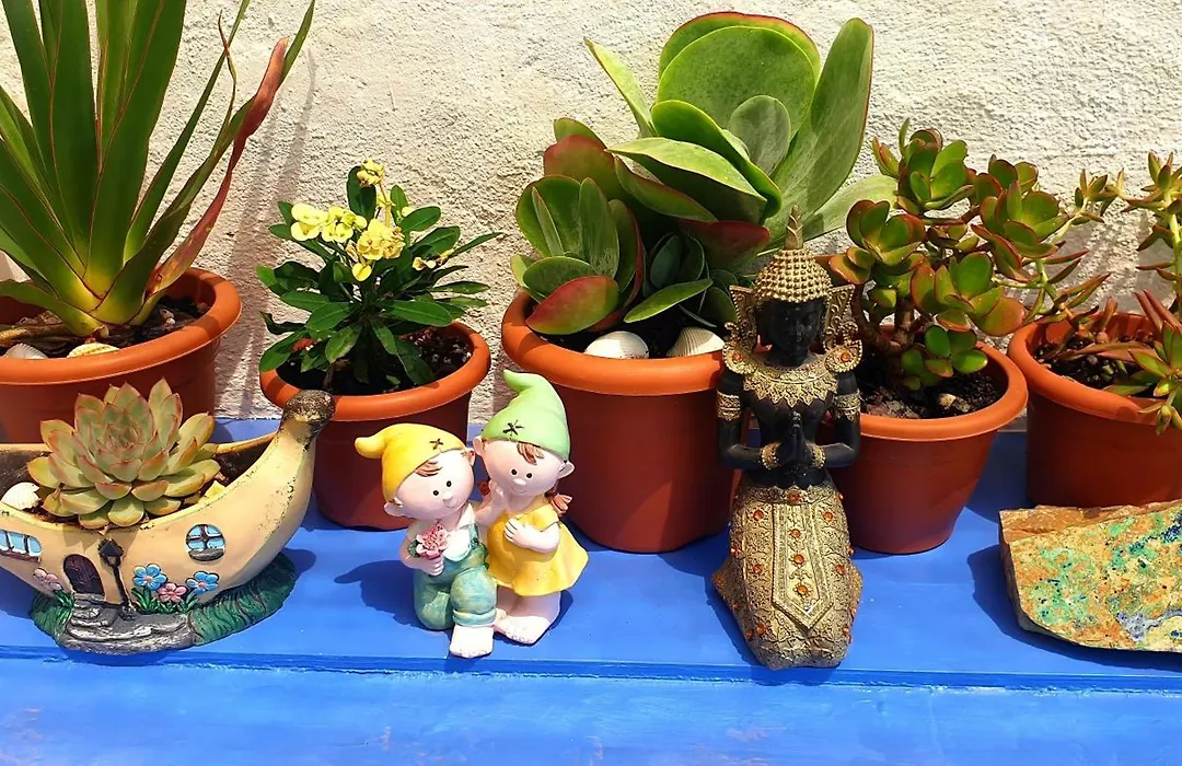 Casa Amelia-1