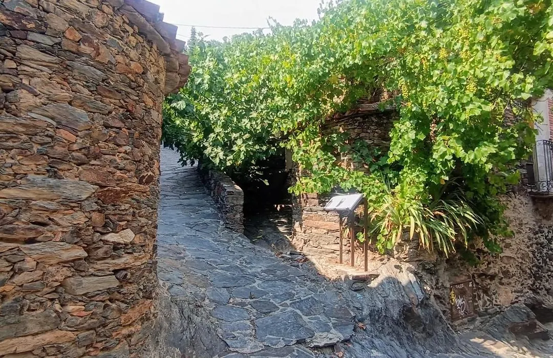 El Mirador de Las Jaras-1