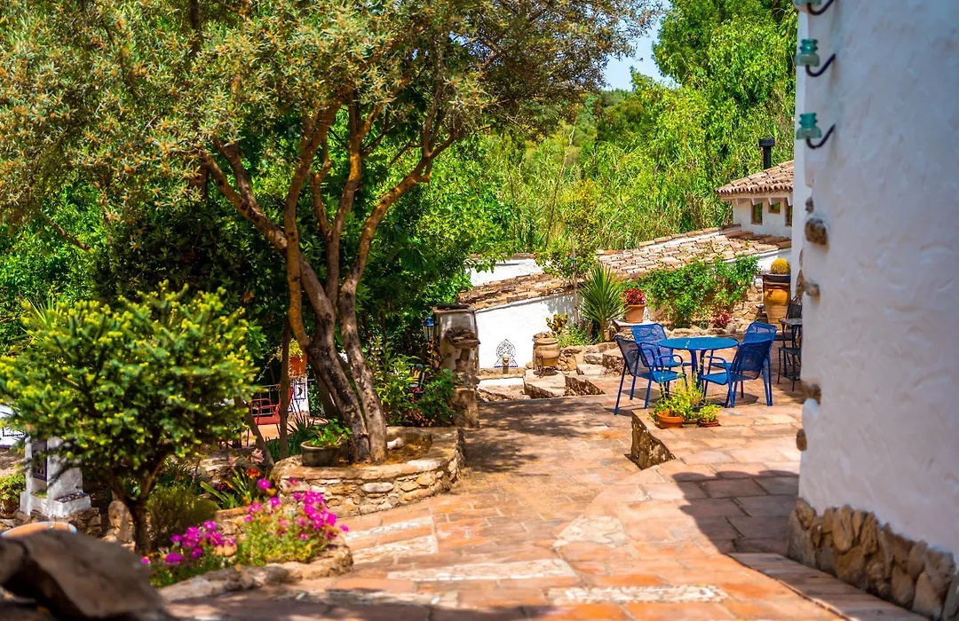 Cinco Lunas VEGETARIAN Guesthouse-1