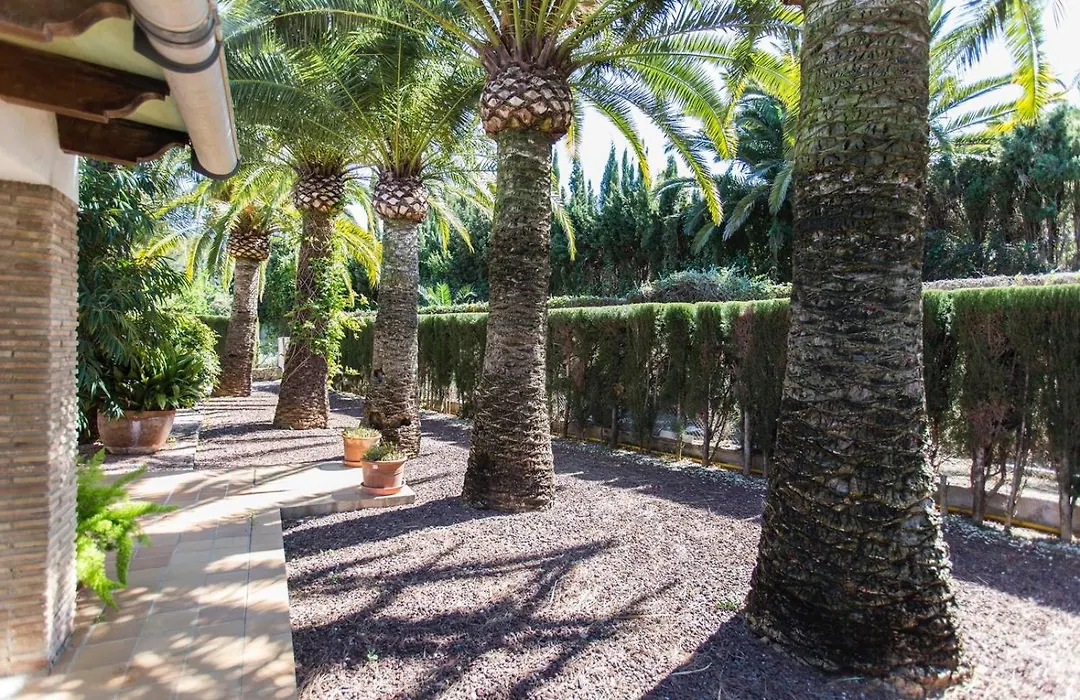B&B Finca Pepe Denia-1