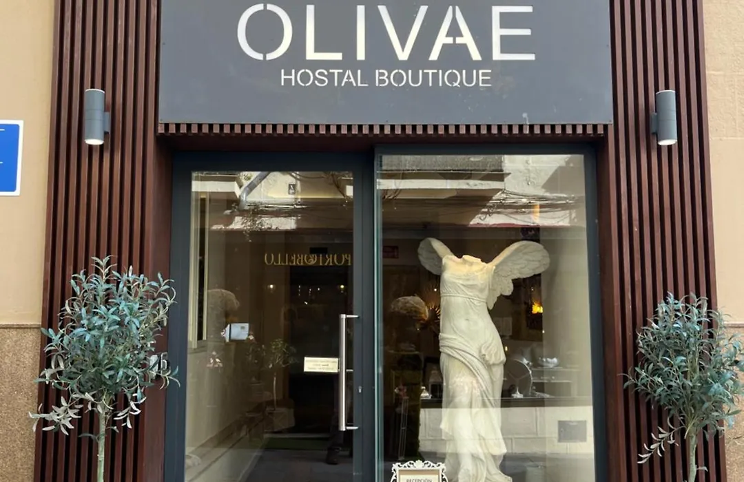 Olivae Hostal Boutique-1
