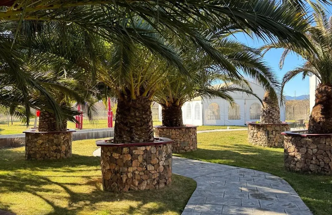 Hotel Tierra de Garnacha-1