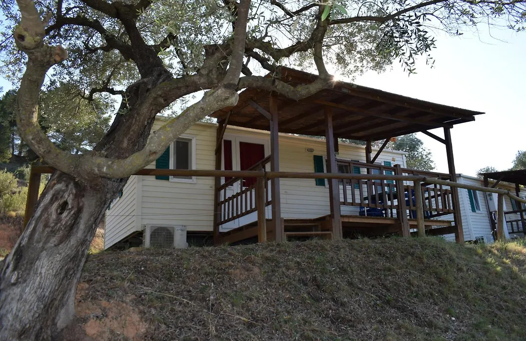 Camping Terra Alta-1