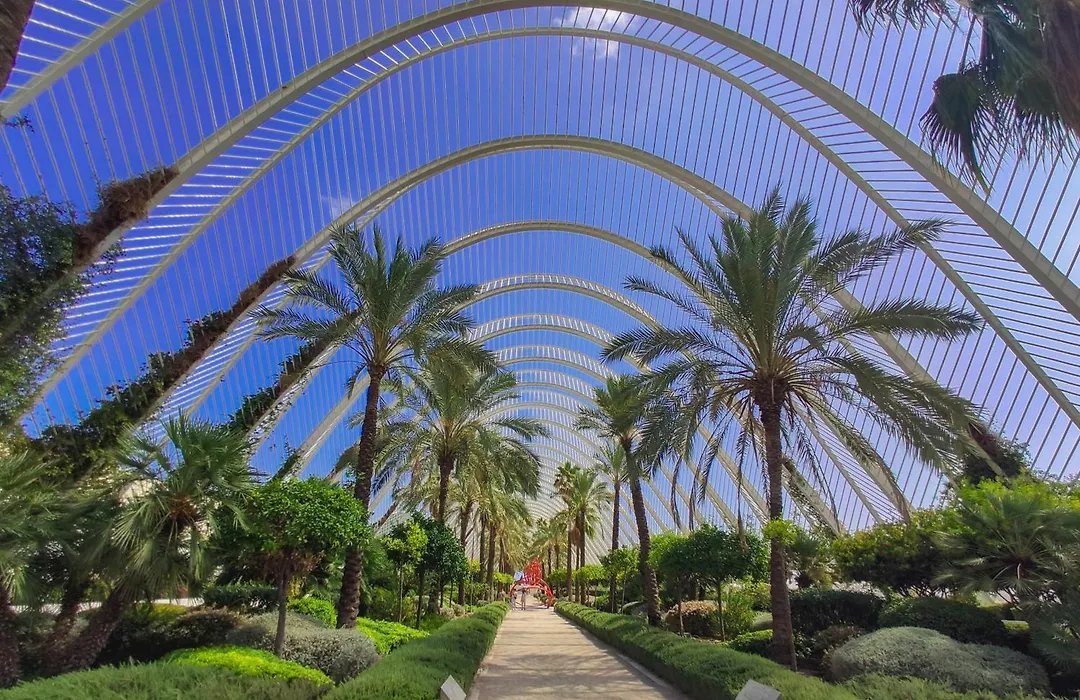 Apartamentos Ciudad De Las Artes Y Las Ciencias-1