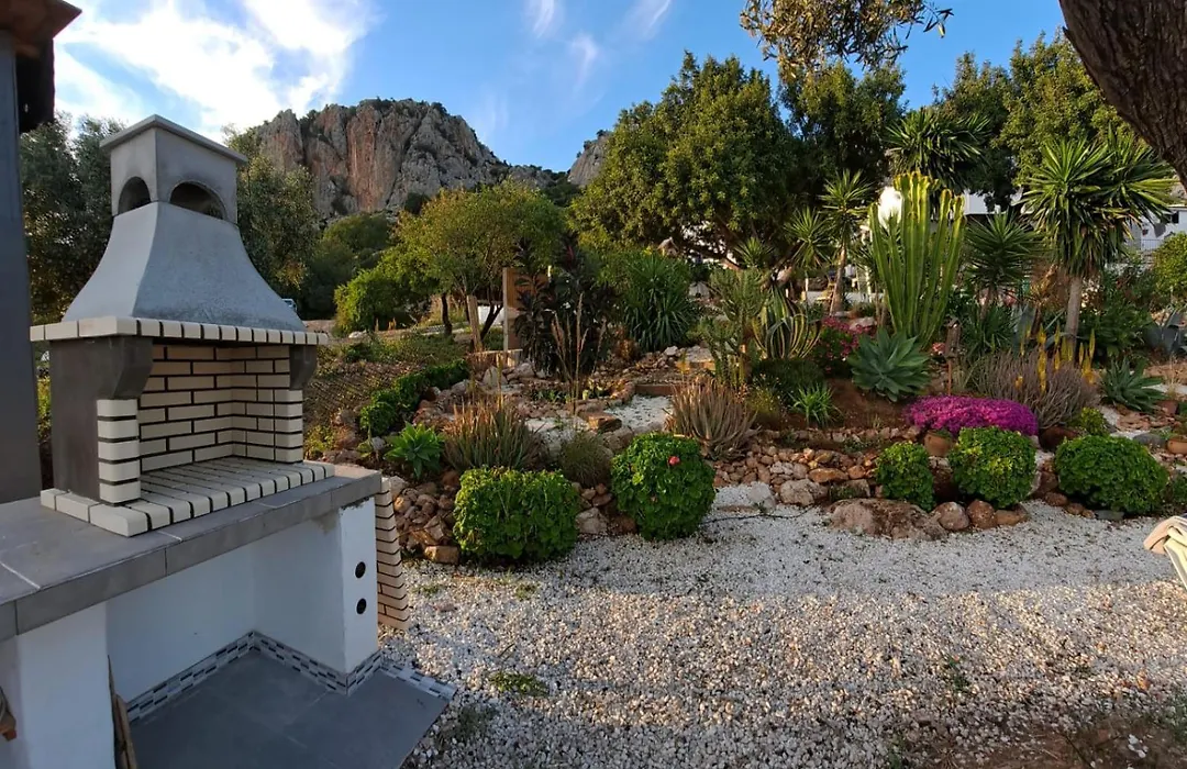 Olive Branch El Chorro-1