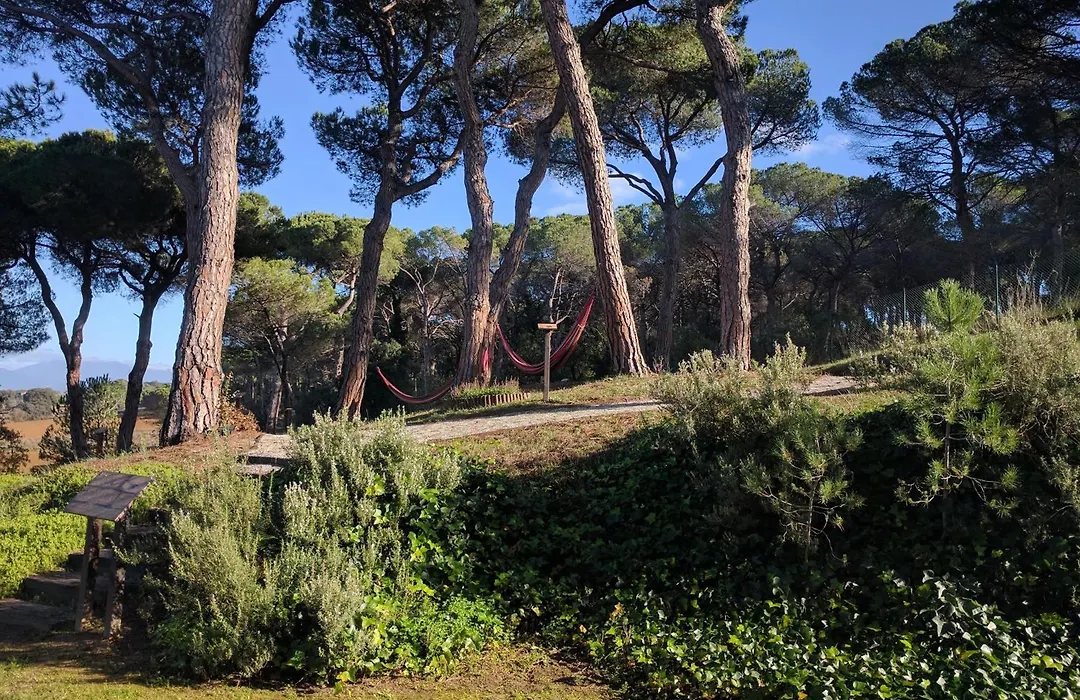 Augusta Barcelona Valles-1