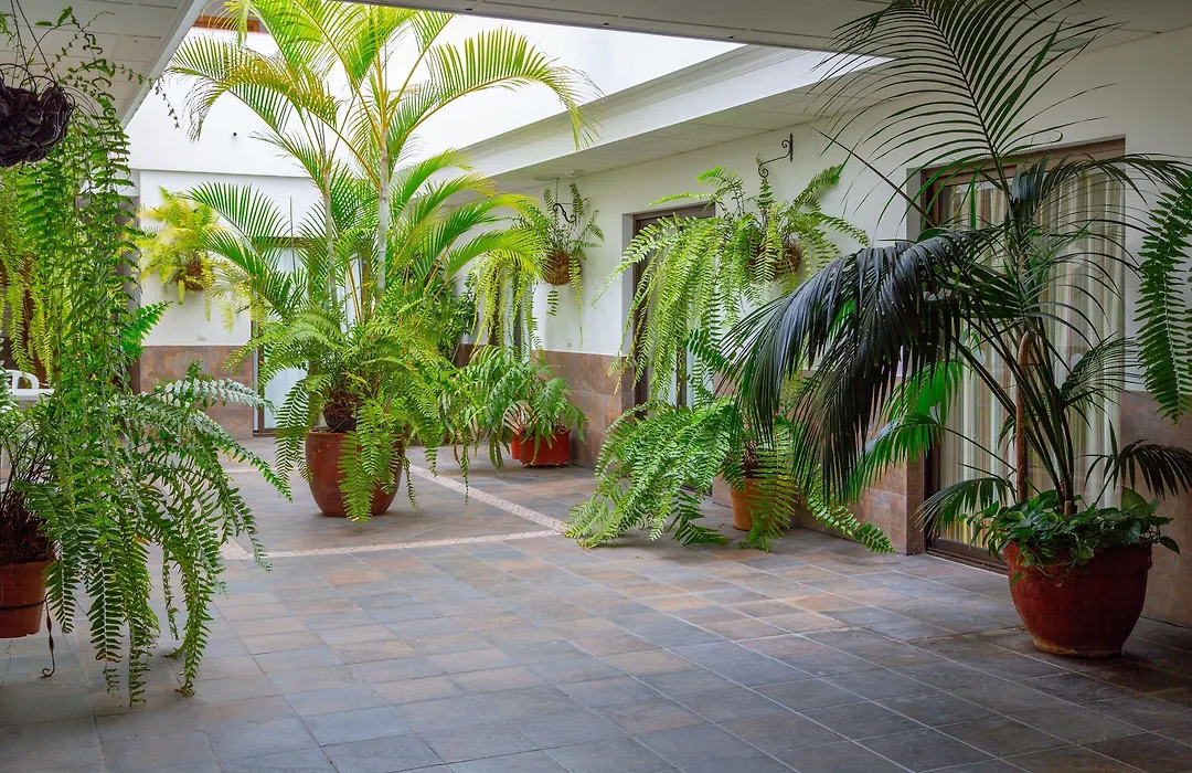Hotel Marquesa-1