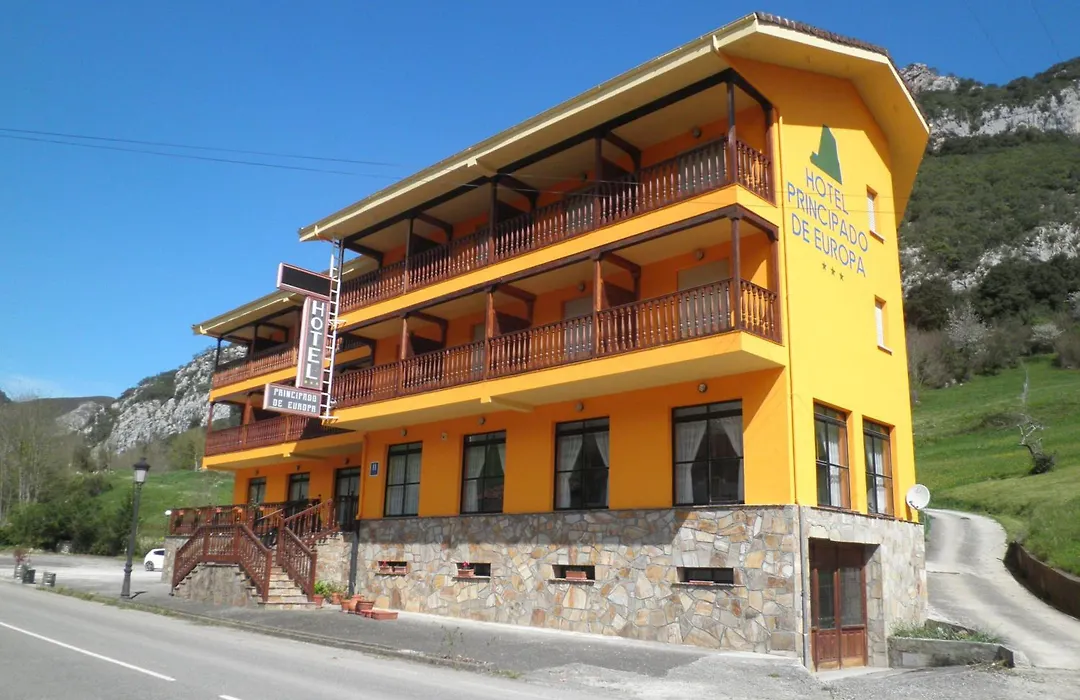 Hotel Principado De Europa-1