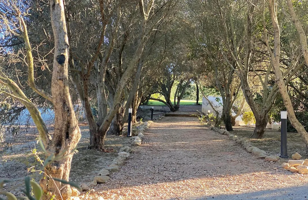 La Carrena-1