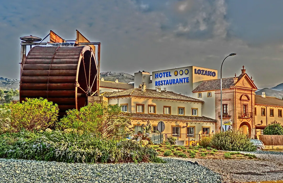 Hotel Lozano-1