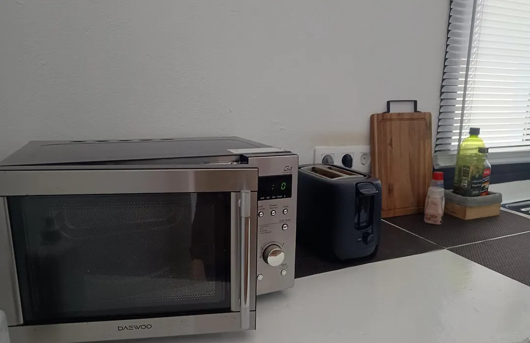 Casa Mocan-1