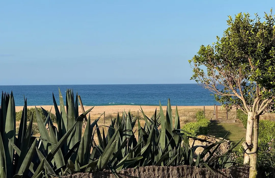 Trafalgar Polo Club-1