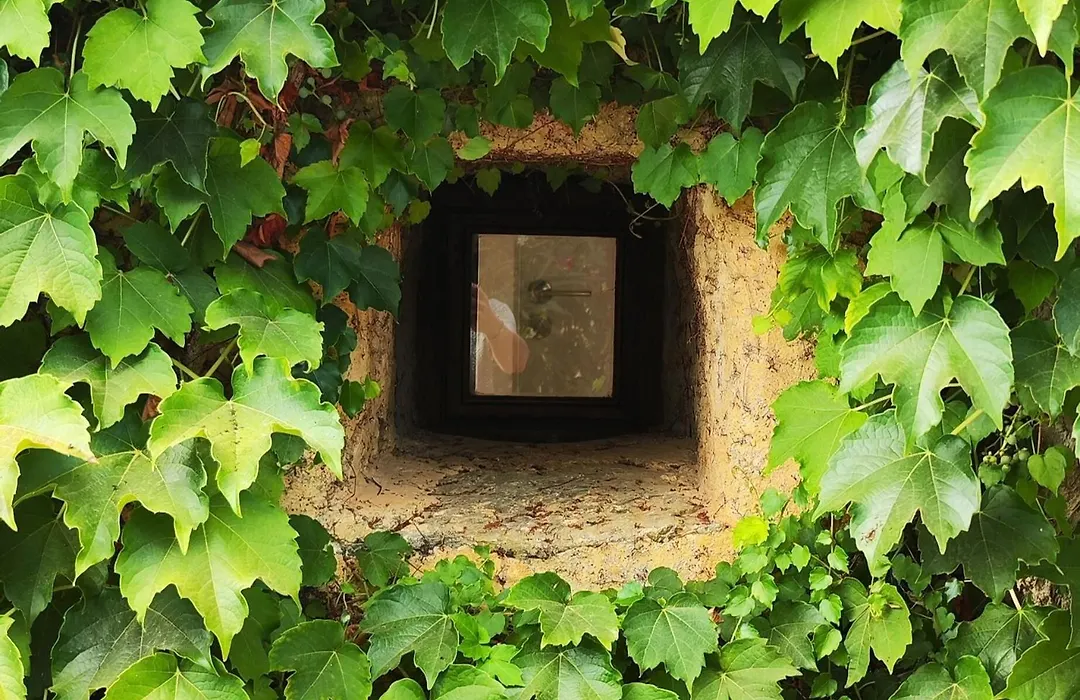 Agroturismo Can Marquet - Adults Only-1