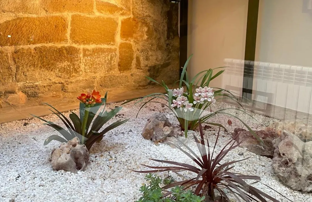Hostal Rey Pedro I-1
