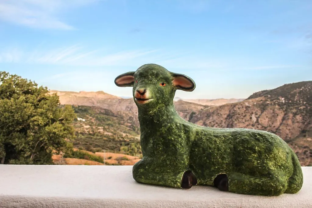 La Oveja Verde de la Alpujarra-1