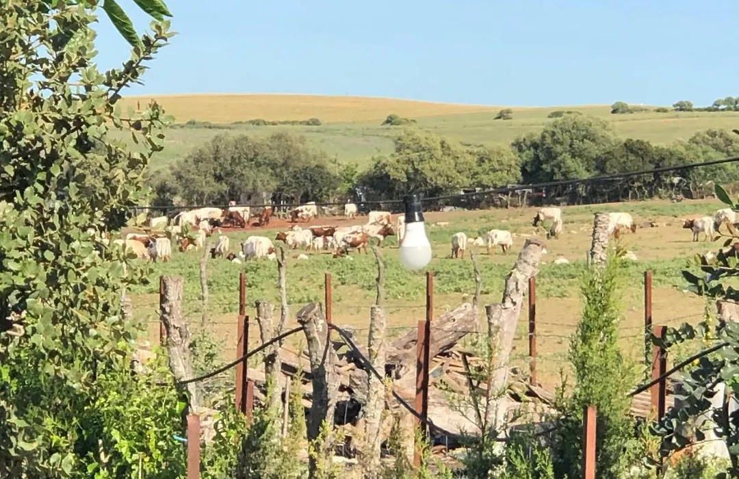 Alojamiento Rural El Soldao-1