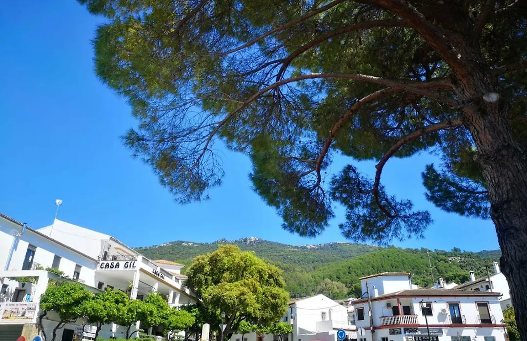 Venta Julian-1