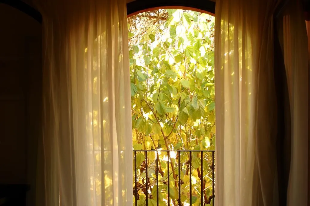 Hotel Torres-1