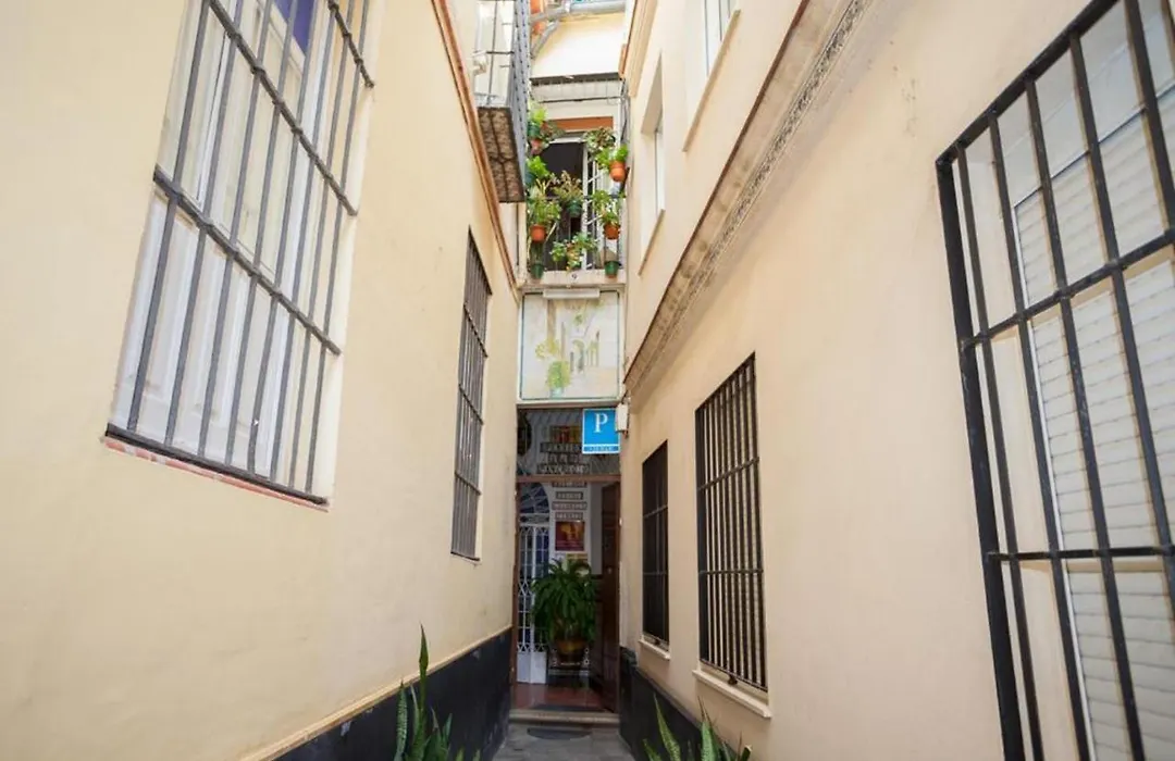 Pension San Pancracio-1