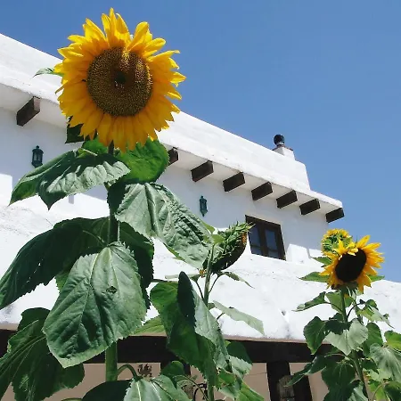 Hotel Las Piedras-3