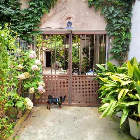 Marakasa B&B-3