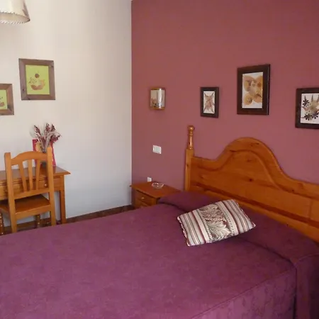 Hotel Mestas-3
