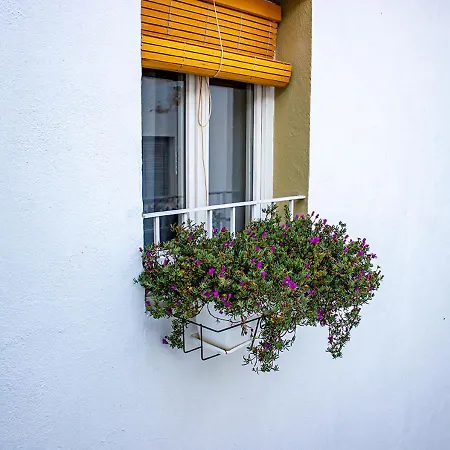Blue Sardine Hostal Boutique Altea (Adults Only)-3