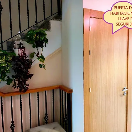 Habitacion En Torrecardenas, Privada Con Terraza-2