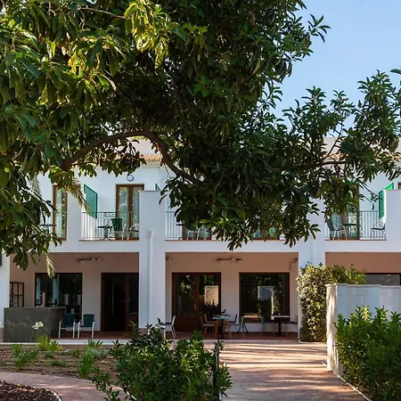 Ad Hoc Vitae Retreats & Health Only Adults-3