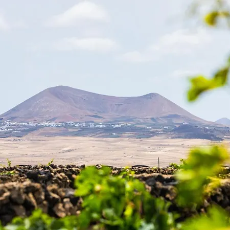 Eslanzarote Eco Dome Experience-3