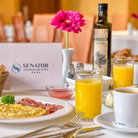 Senator Granada Spa Hotel-3