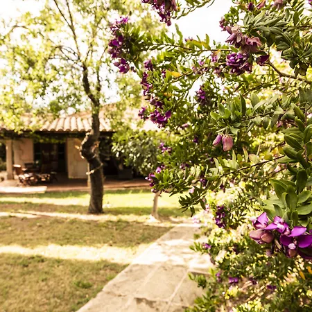 Aumallia Hotel & Spa-3