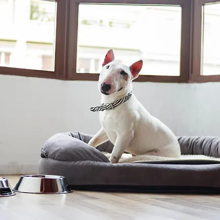 Casual Socarrat Valencia By Casual Hoteles (Adults Only)-2