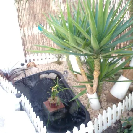 Primavera Bed And Breakfast.-3