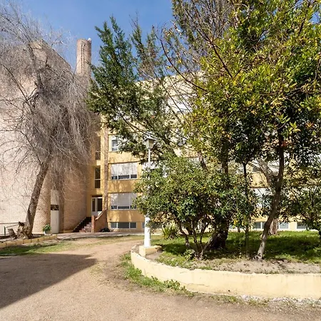 Hotel La Mota By Punta25 Hotels Group-3