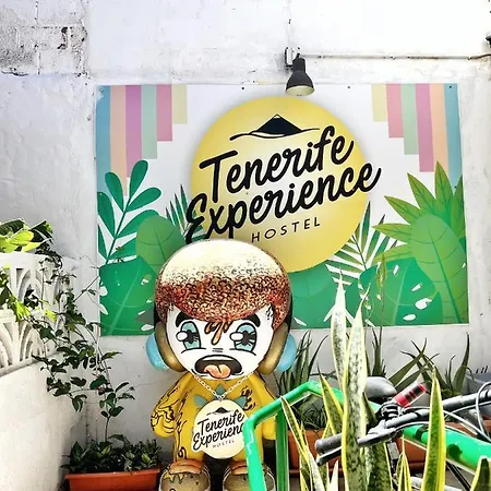 Tenerife Experience Hostel-3