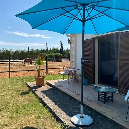 Finca Montpellier-3