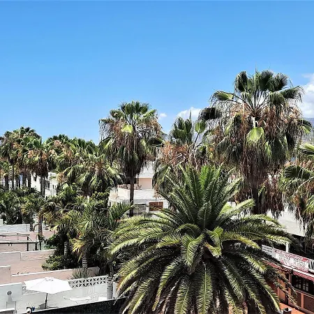 Ziocarlo/Las Americas-2