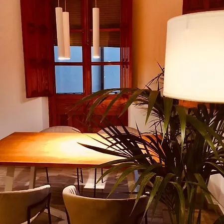 Fantastica Vivienda En El Pleno Corazon De Granada-2
