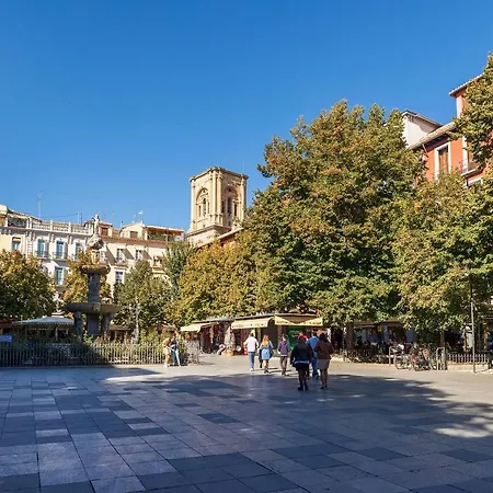 Dreaming Bib Rambla - Free Parking-3