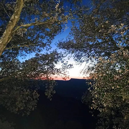 La terraza-3