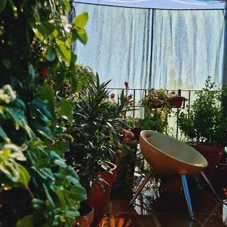 Casa De Huespedes Dolce Vita-2