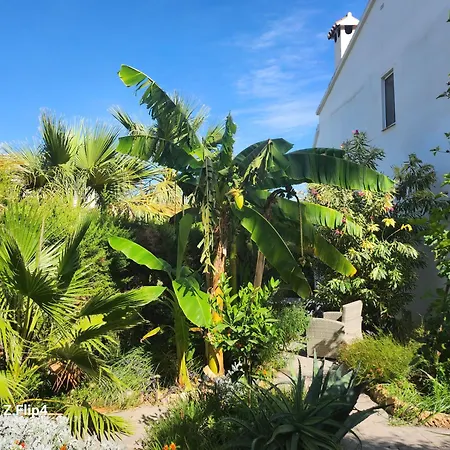 Deluxe Studio Athos 50 Mp Garden Patio Benalmadena Golf & Beach-3
