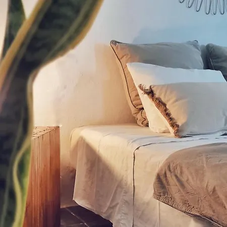 B&B La Mimosa-2