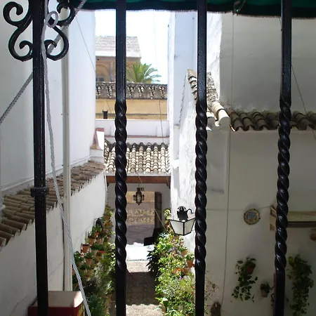 Los Patios-3