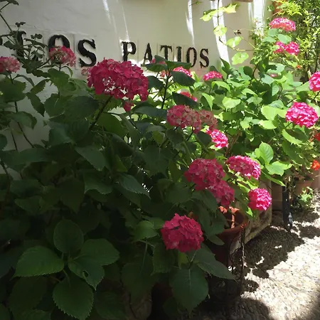 Los Patios-2