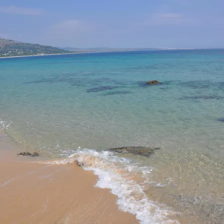 El Levante-2